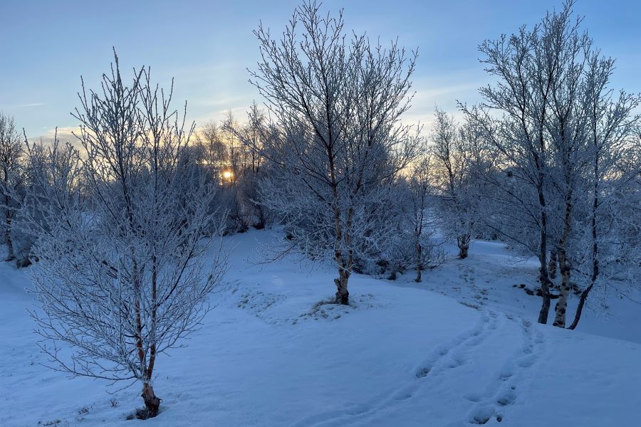 Vaxandi neysla hefur mikil áhrif á náttúruna, hringrásarhagkerfi getur komið að gangi í þeirri baráttu.