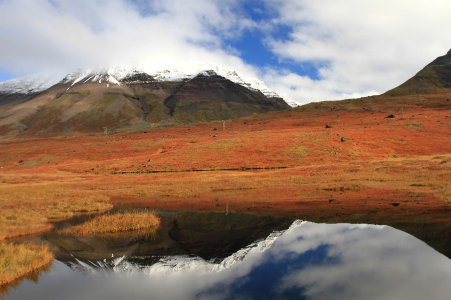 Í tilefni af nægjusömum nóvember, skrifar Philip: Aumingja Austfirðingar! Eða hvað?